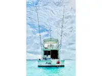 Southern Cross Sport Fisher 