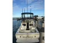 Bertram Sport Fisherman