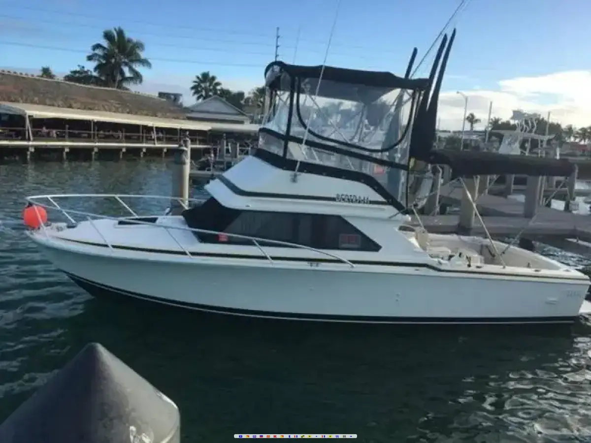 Bertram Sport Fisherman 
