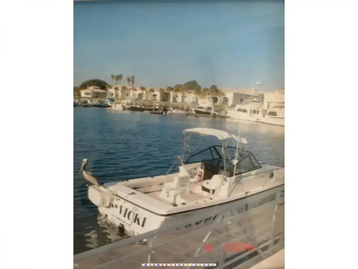 Bayliner Trophy Bayliner Trophy