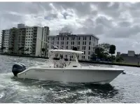 Cobia 296 CC 