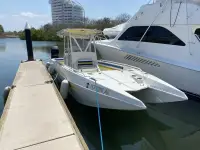 Cobra 30 Predator 
