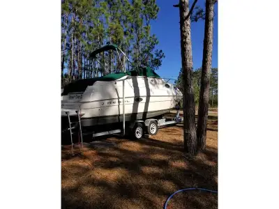 Regal 2460 Commodore 