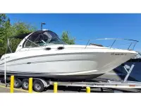 Sea Ray 300 DA