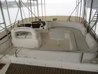 Viking Princess