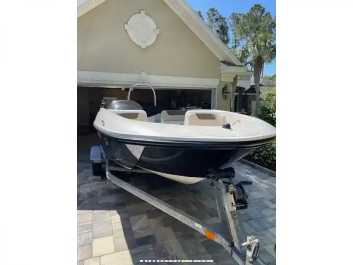 Bayliner Element 