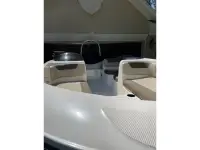Bayliner Element 