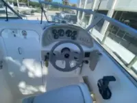 Wellcraft 236 Excel