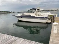 Cruisers Elegante