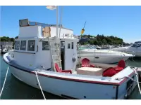 Novi Novi 36