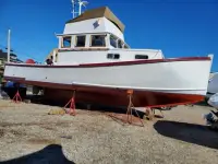 Novi Novi 36 