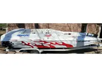 Howard Open bow Cat 