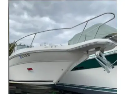 Sea Ray Sundancer SE 