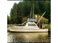 Viking 404 
