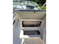 Sea Ray Sundancer 250 