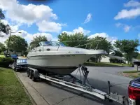 Sea Ray Sundancer 250 