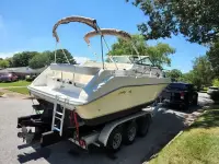 Sea Ray Sundancer 250 