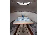 Shamrock 260 Express 