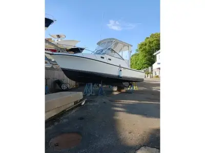 Shamrock 260 Express