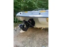 Stingray 200LX 