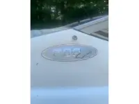 Stingray 200LX 