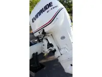 Boston Whaler Revenge 