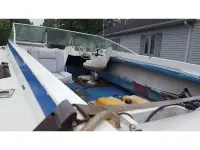 Thunderbird TriHull