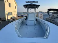 Contender 31 Open