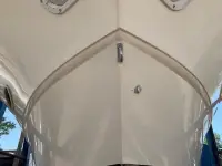 Sea Ray Express Cruiser 