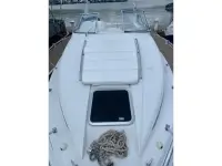 Monterey 296 CR 