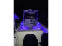 Mako Walk Around