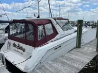Sea Ray Sundancer 350 Sundancer 
