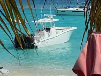 Yellowfin 36 Offshore 