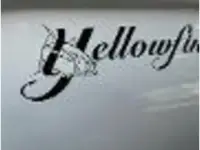 Yellowfin 36 Offshore 