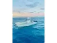 Yellowfin 36 Offshore 