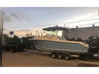 Triton 301