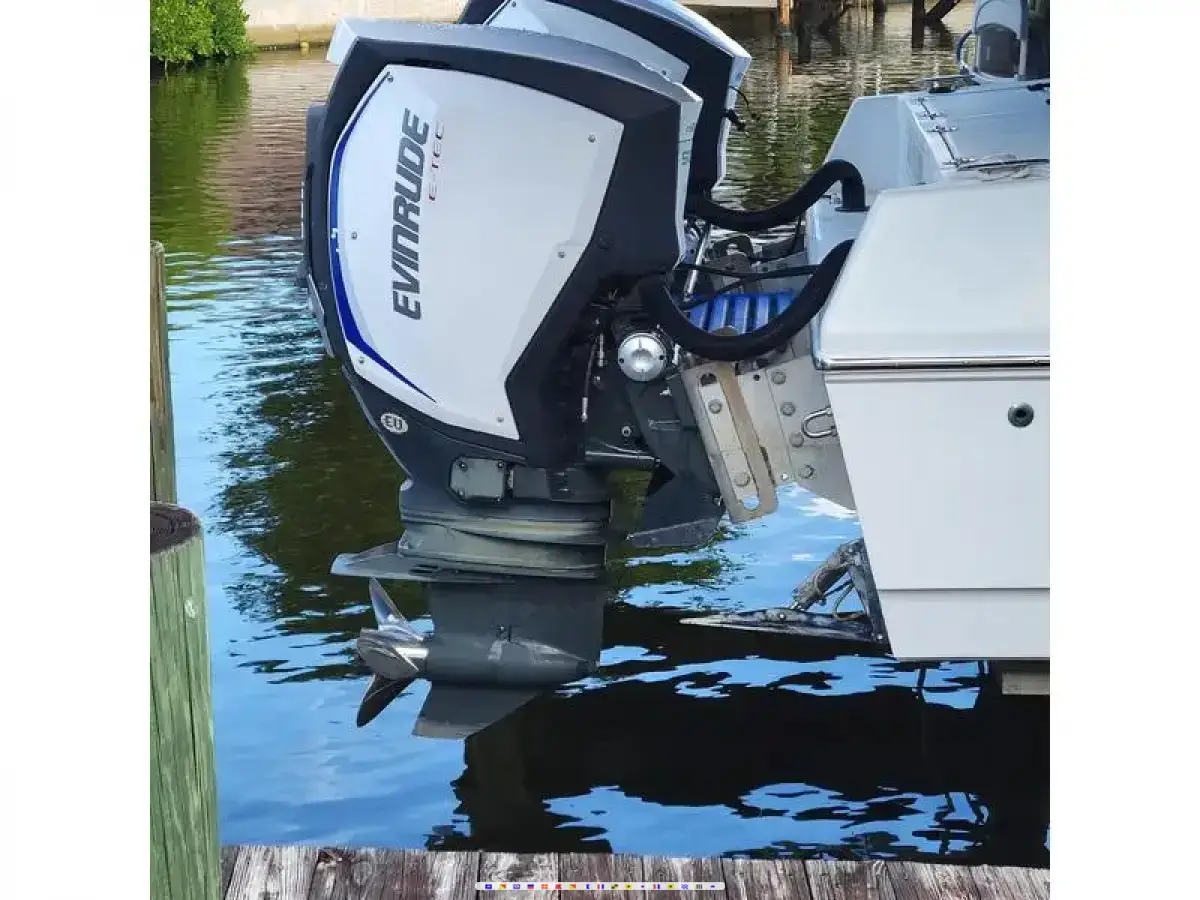 300 hp 300 
