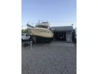 Sea Ray Sport Fisher 