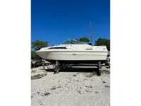 Sea Ray 260 