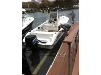 Triton 2486 