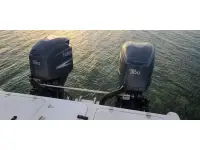 Cobra Predator Catamaran 