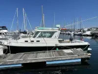 Albin Tourment Express 