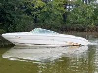 Sea Ray 210 Bow Rider 