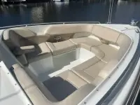 Formula 310 BR