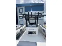Robalo R302 