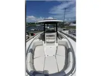 Robalo R302 