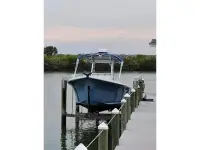 Goldline 26