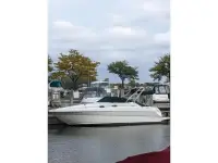 Sea Ray Sundancer Sundancer 270 