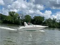 Sea Ray Sundancer 300 Sundancer 