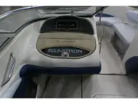 Glastron 205GX 